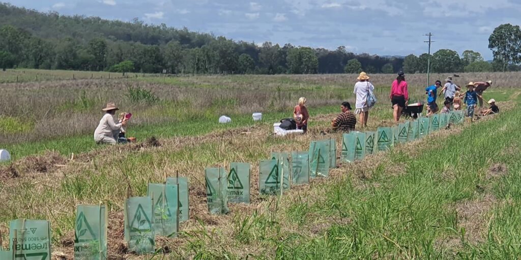 Planting Trees at Kumbartcho Farm