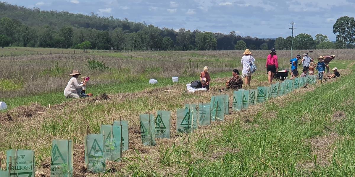 Planting Trees at Kumbartcho Farm